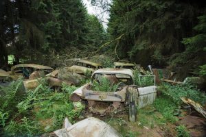 reclaimed-by-nature-cars